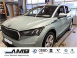 Skoda Enyaq 50 Loft/LED/ACC/Navi/Sitzhzg/RFKamera