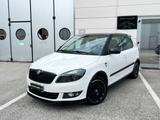 Skoda Fabia 1.2 TSI 105CV 5p. Monte-Carlo - aus 2011: Carlo