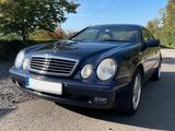 Mercedes-Benz CLK 430 ELEGANCE Elegance - Mercedes-Benz CLK 430: Sportwagen