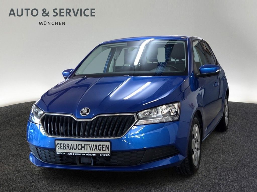 Skoda Fabia 1.0 TSI Ambition 5-Gang|KLIMA|NAVI|CARPLAY