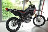Honda CRF300L Kurzkennzeichen Halter - HONDA CRF300