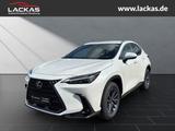 Lexus NX 350 h 243 PS ** 15 Jahre Gar antie ** Sitzkli - weiße Lexus NX 350h