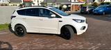 Ford Kuga 1,5 EcoBoost ST-Line - Ford Kuga: For