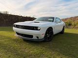 Dodge Challenger 6.4 ScatPack - Dodge Challenger 6.4 Gebrauchtwagen