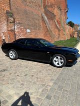 Dodge Challenger SXT Plus - Dodge: Coupé