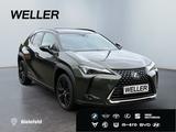 Lexus UX 250h Style+ Edition *LED*CAM*ACC*SHZ*Totwinke - Lexus: L