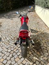 Suzuki VX800 - ehrlicher Klassiker mit Charakter - MOTORRAD KLASSIKER