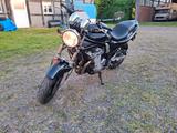 Suzuki Liebhaber Bandit GSF600  15600km - SUZUKI 2001 BANDIT 600