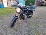Suzuki Liebhaber Bandit GSF600  15600km - SUZUKI 2001 BANDIT 600