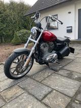 Harley-Davidson Sportster 883 Low Custom |2012| Top Zustand - HARLEY-DAVIDSON 883 CUSTOM