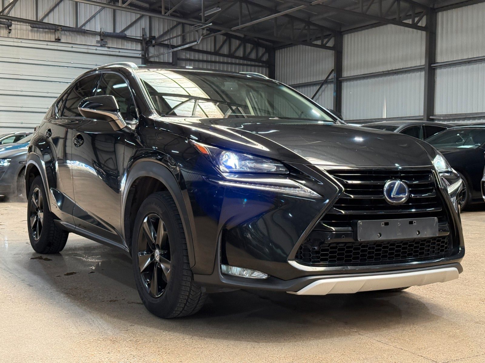 LEXUS NX 300