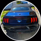 Ford Mustang Cabrio 2.3 EcoBoost  - Ford Mustang Gebrauchtwagen in Bielefeld