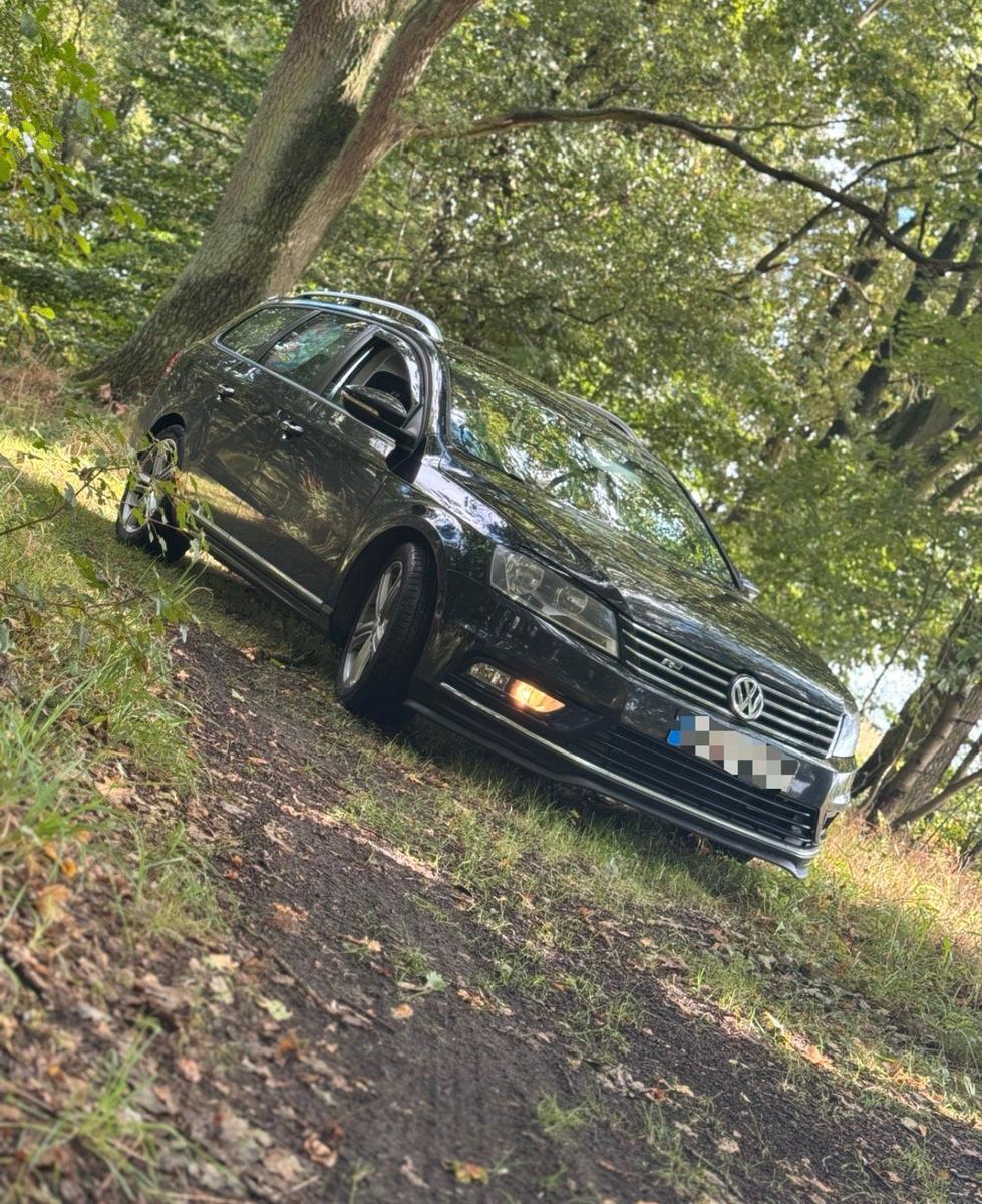 Volkswagen Passat 2013 — rear view