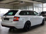 Skoda Octavia RS 60 4x4 Pano+ACC+el.Sitze+LED+Sound+19 - Skoda Gebrauchtwagen von 2020