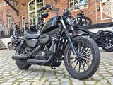 Harley-Davidson XL883N Sportster IRON - HARLEY-DAVIDSON SPORTSTER XL 883 N IRON