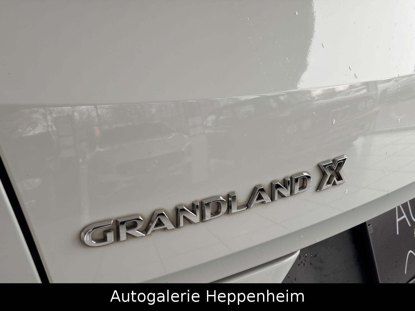 Opel Grandland (X)Innovation/AUT/NAV/SHZ/L-HEIZ/R-KAM