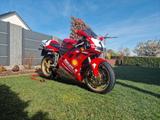 Ducati 996 - Angebote