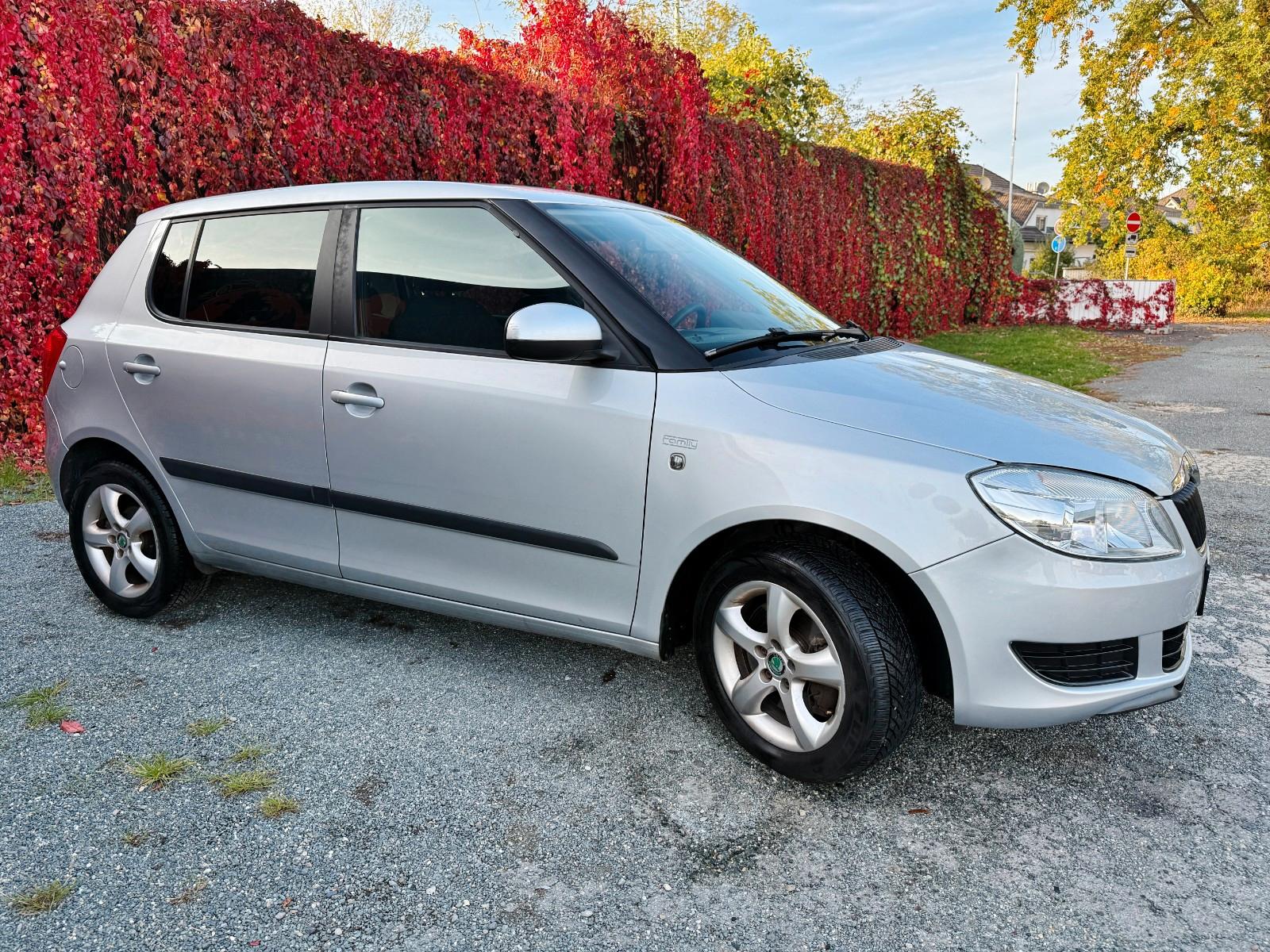 Skoda Fabia 2011 — photo 7