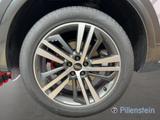 Audi Q5 40TFSI 2xS-LINE+SPORT EDITION BLACK+20"+AHK - Audi Q5: Grau