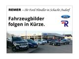 Ford Ranger Raptor Hardtop e-4WD Doppelkabine 3.0 Eco - Ford Ranger mit Benzin-Antrieb: 3.0