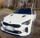 Kia Stinger 2.2 CRDi GT-Line Vollausstattu... - Kia Stinger: Gt Line