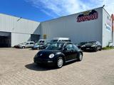 Volkswagen New Beetle Miami HIGH- TÜV 6.28 ALU KLIMAANLAGE - Volkswagen New Beetle mit Benzin-Antrieb: Limousine