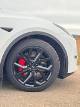 Tesla Model Y Performance Dual Motor AWD,  8 Fach, AHK - Tesla Model Y: Performance