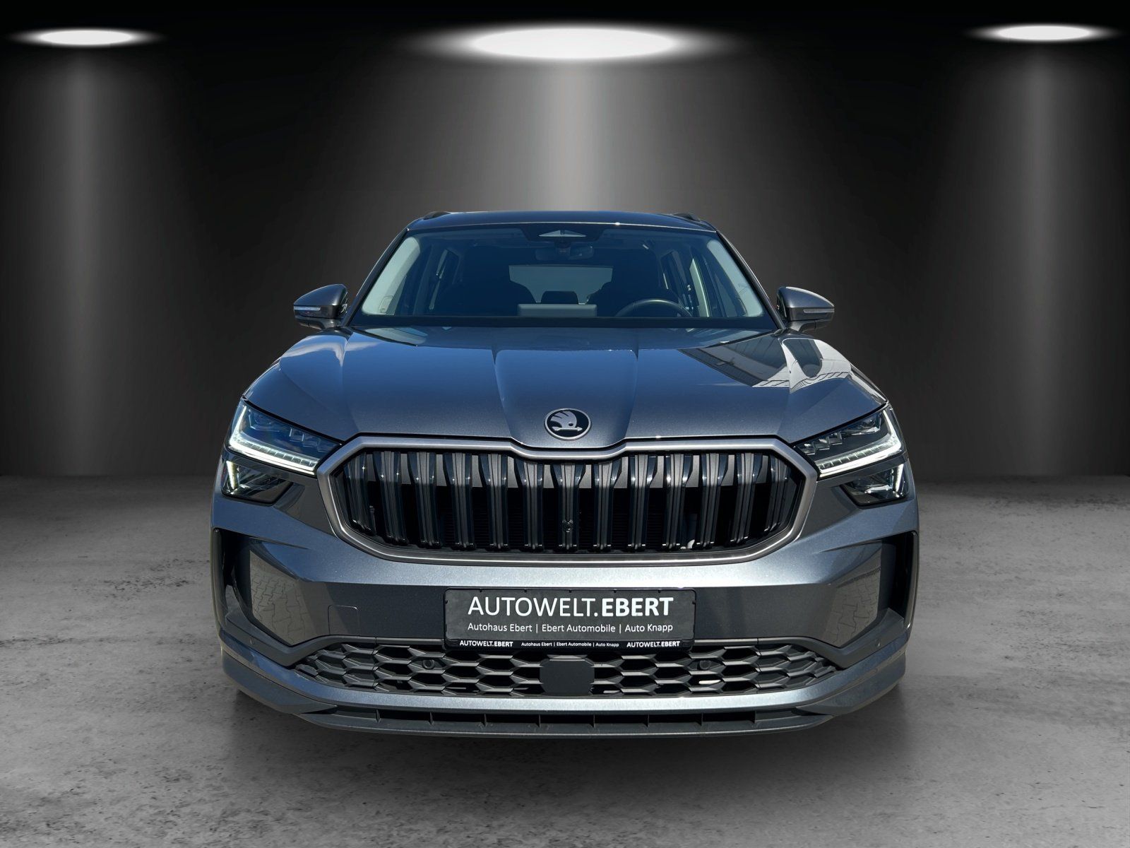 Fahrzeugabbildung SKODA Kodiaq 2.0 TDI 4x4 Selection/AHK/PANO-DACH/CAM/