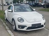 Volkswagen Beetle Design R-Line Panorama Bi-Xenon PDC - Volkswagen Beetle: R Line