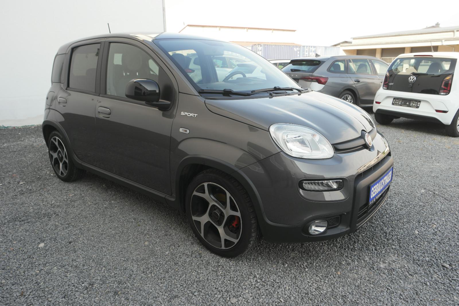 Fiat Panda Sport 1.0 Mild-Hybrid 70 PS*Klima*PDC