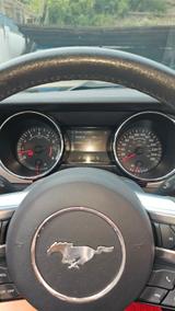 Ford Mustang 5.0 Ti-VCT V8 GT Auto GT - Ford Mustang mit Benzin-Antrieb: Cabrio, 5.0