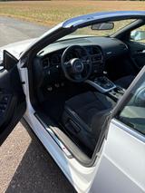 Audi A5 2.0 TDI 140kW quattro Cab. - s-line - Audi A5 mit Diesel-Antrieb: Cabrio