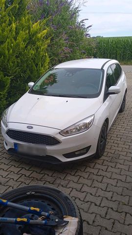 Ford Focus 1.5tdci Business Ausstattung