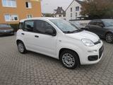 Fiat Panda 1.2 Easy *Sehr gepflegt* - Fiat Panda: 1.2