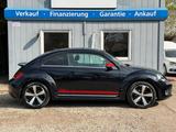 Volkswagen Beetle 1.4 TSI DSG Club BMT*1.Hand*Kamera - VW Beetle Gebrauchtwagen in Berlin