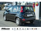 Fiat Pandina ICON Hybrid 1.0 GSE TEMPOMAT PDC LANE KL - scheckheftgepflegte Fiat New Panda