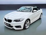 BMW F23 220d Cabrio M Paket | Autom. | Navi | Leder - BMW 2er Reihe: F22