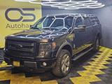 Ford F150 Import Pick Up V6 AHK RFK - gebrauchte Ford F 150 aus dem Jahr 2013
