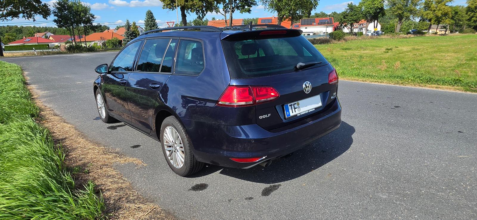 Volkswagen Golf 2014 — photo 8