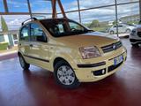 Fiat Panda 1.2 Alessi - Fiat Panda Alessi mit Benzin-Antrieb