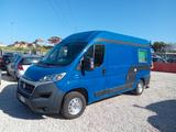 Fiat Ducato Camper Puro - Fiat Ducato: Camper