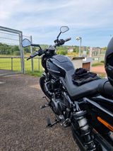 Harley-Davidson Nightster rh975 