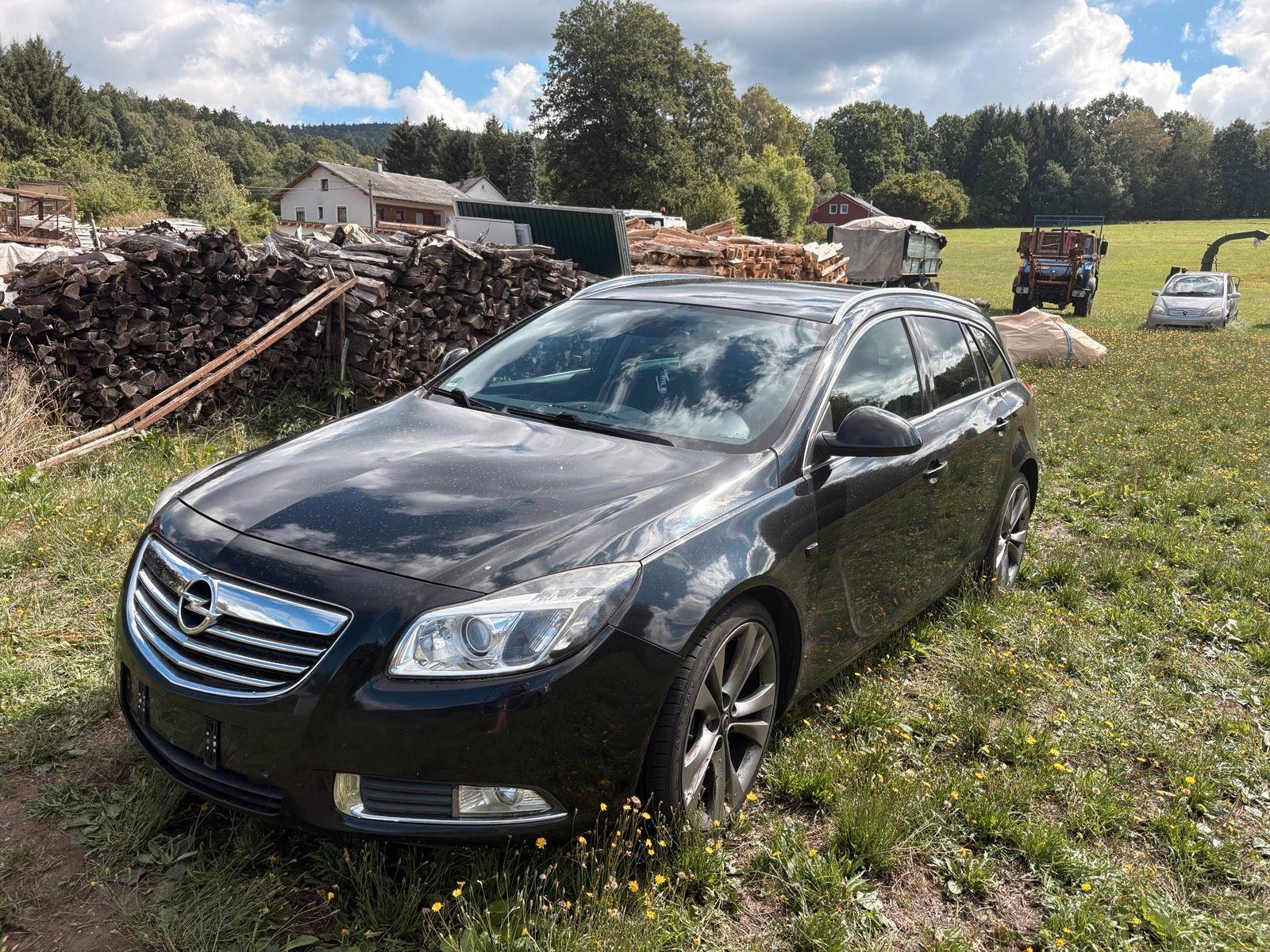 Opel Insignia 2010 — photo 6