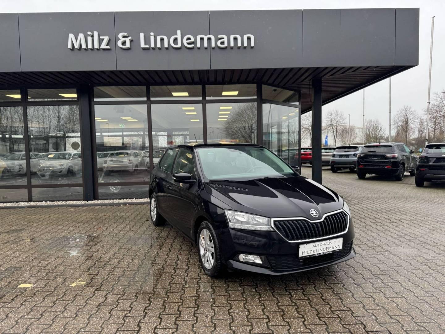 Skoda Fabia (NJ3)(08.2014->)