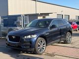 Jaguar F-Pace F-PACE Pure AWD - blaue Jaguar F-Pace