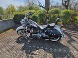 Harley-Davidson FLSTN Softail Deluxe - HARLEY-DAVIDSON 2008