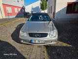 Mercedes-Benz CLK 240 ELEGANCE Elegance - Mercedes-Benz CLK 240: Cabrio