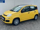 Fiat Panda 1.0 GSE Pandina Hybrid Dach schwarz - Fiat Panda Gebrauchtwagen in Aachen