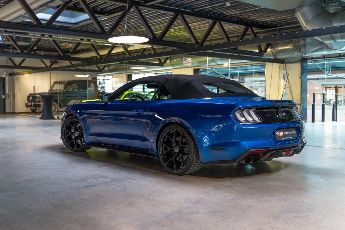 FORD Mustang (Mustang GT 5.0 Convertible 20Zoll SHELBY, Carbon)
