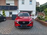 Mazda CX-5 2.5 e-SKYACTIV-G 194 Newground FWD AT N... - Mazda CX-5 Newground mit Benzin-Antrieb